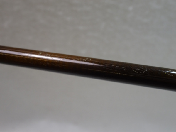 セージ　グラファイト２